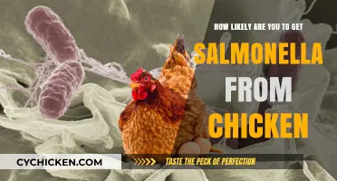The Hidden Risks: Understanding Salmonella Transmission from Chicken