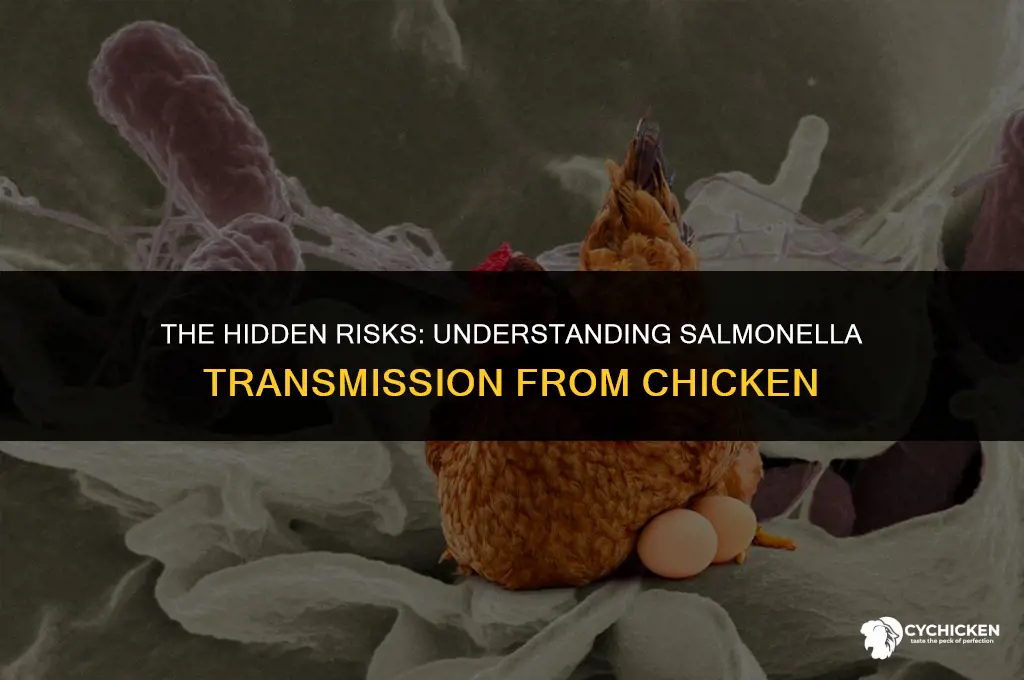how likely are you to get salmonella from chicken