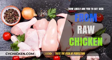 Risks Revealed: The Truth About Raw Chicken and Foodborne Illness