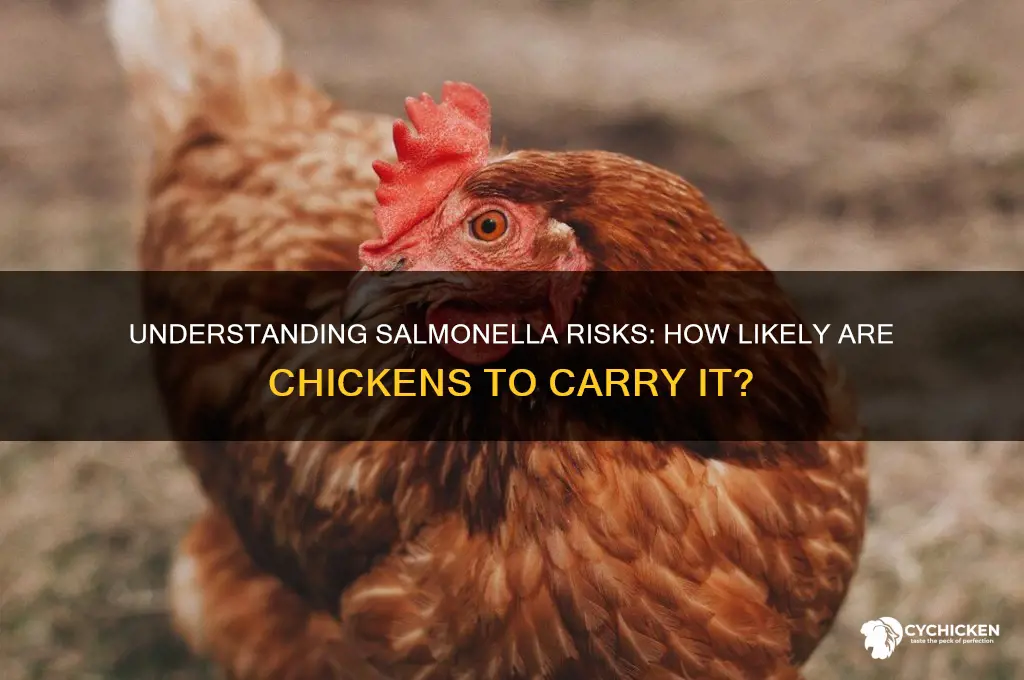how likely does a chicken have salmonella