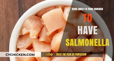 Raw Chicken and Salmonella: Understanding the Risks and Precautions
