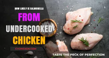Undercooked Chicken and Salmonella Risk: What You Need to Know