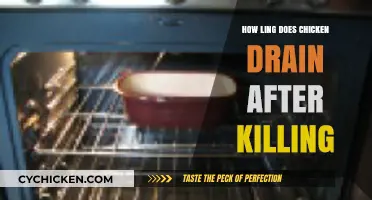 How Long Does Chicken Drain Post-Slaughter: A Complete Guide