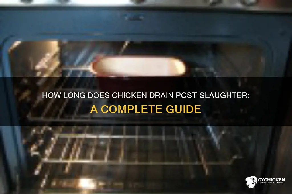 how ling does chicken drain after killing