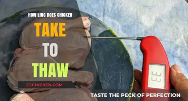Quick Guide: Safely Thawing Chicken for Perfect Cooking Every Time