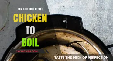 Perfectly Boiled Chicken: Timing Tips for Tender and Juicy Results