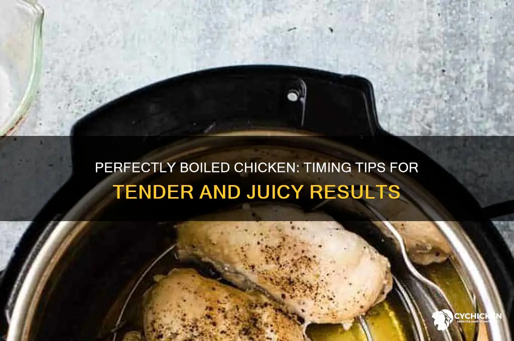 how ling does it take chicken to boil