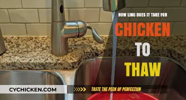 The Best Way to Thaw Chicken Quickly