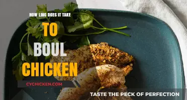 Perfectly Baked Chicken: Timing Tips for Juicy, Tender Results