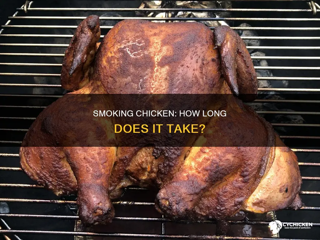 how ling does it take to smoke a chicken
