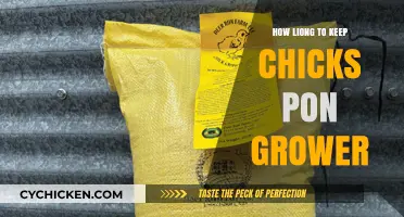 Optimal Grower Duration for Healthy Chicks: A Comprehensive Guide