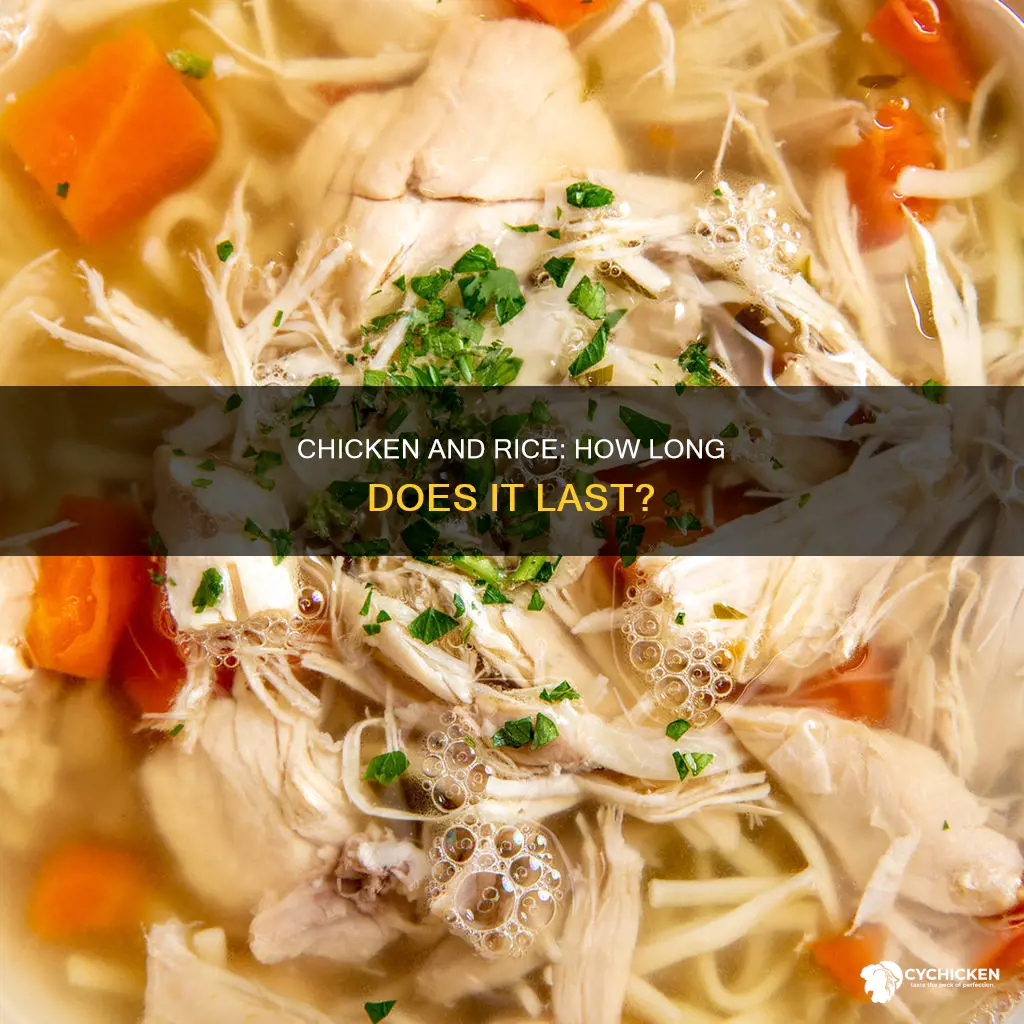 Chicken And Rice: How Long Does It Last? | CyChicken