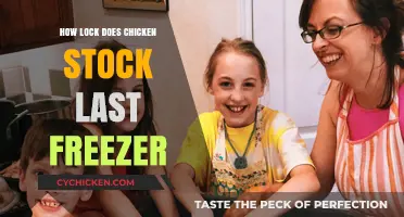 How Long Does Chicken Stock Last in the Freezer?