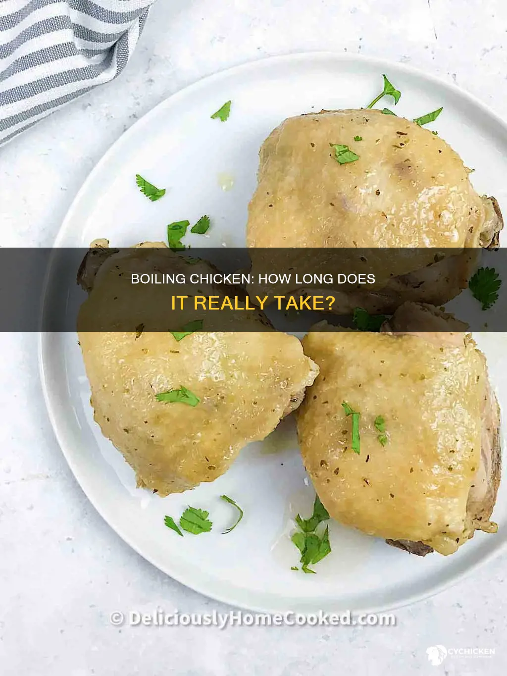how log does it take to boil chicken efda