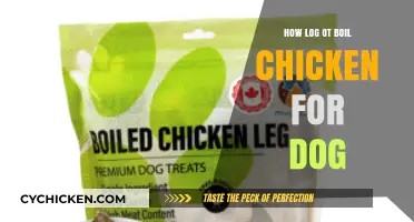 Perfectly Boiled Chicken for Dogs: Safe Cooking Time Guide