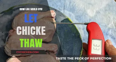 Safely Thawing Chicken: Optimal Time and Tips for Perfect Results