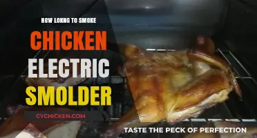 Perfectly Smoked Chicken: Timing Tips for Electric Smokers