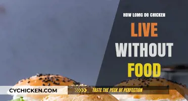 Chicken Survival: How Long Can They Live Without Food?