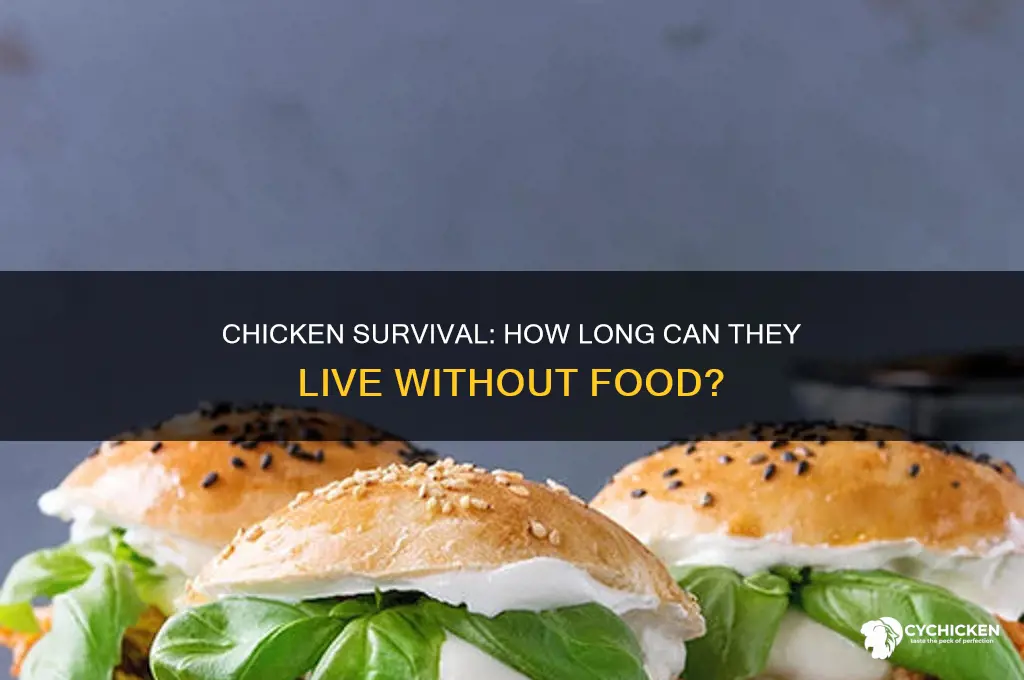 how lomg do chicken live without food