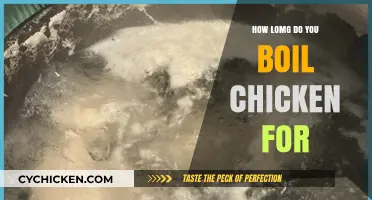 Perfectly Boiled Chicken: Timing Tips for Juicy, Tender Results