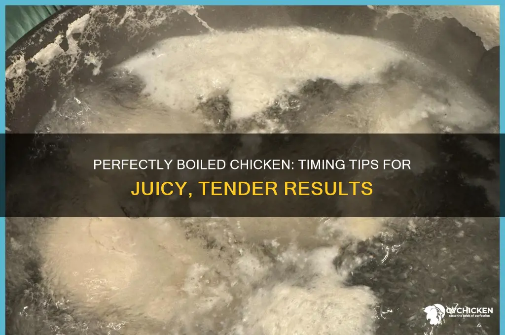 how lomg do you boil chicken for
