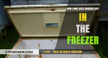 How Long Can Chicken Stay Fresh in the Freezer?
