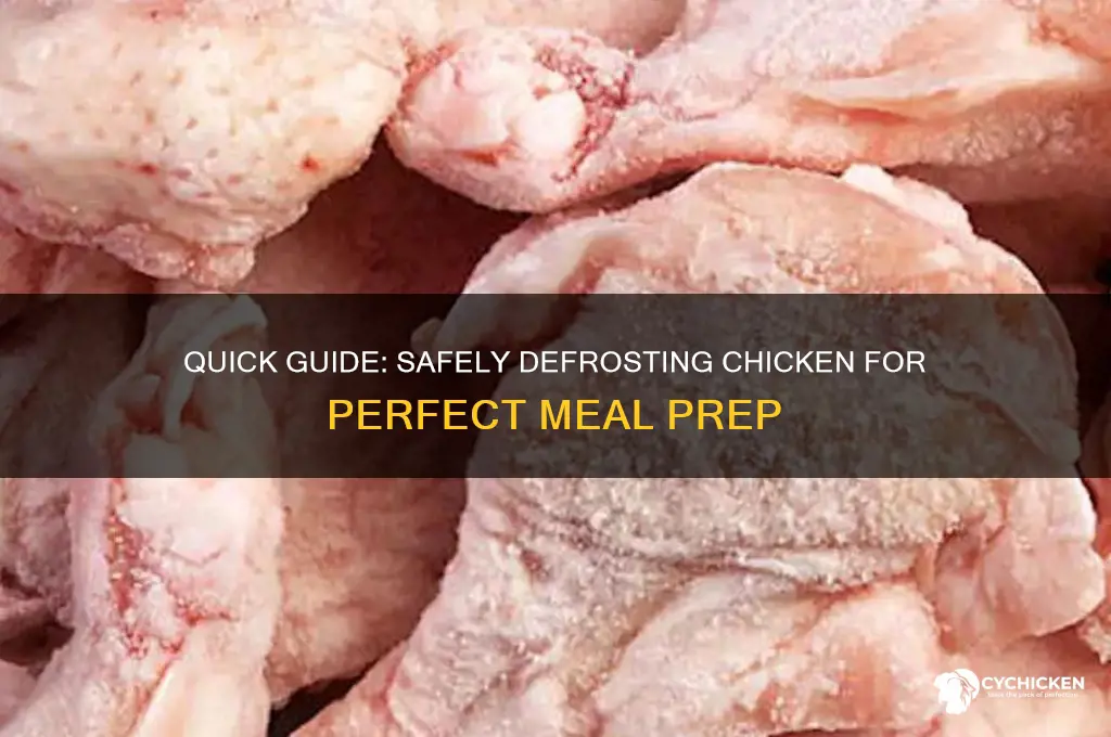 how lomg does chicken take to defrost