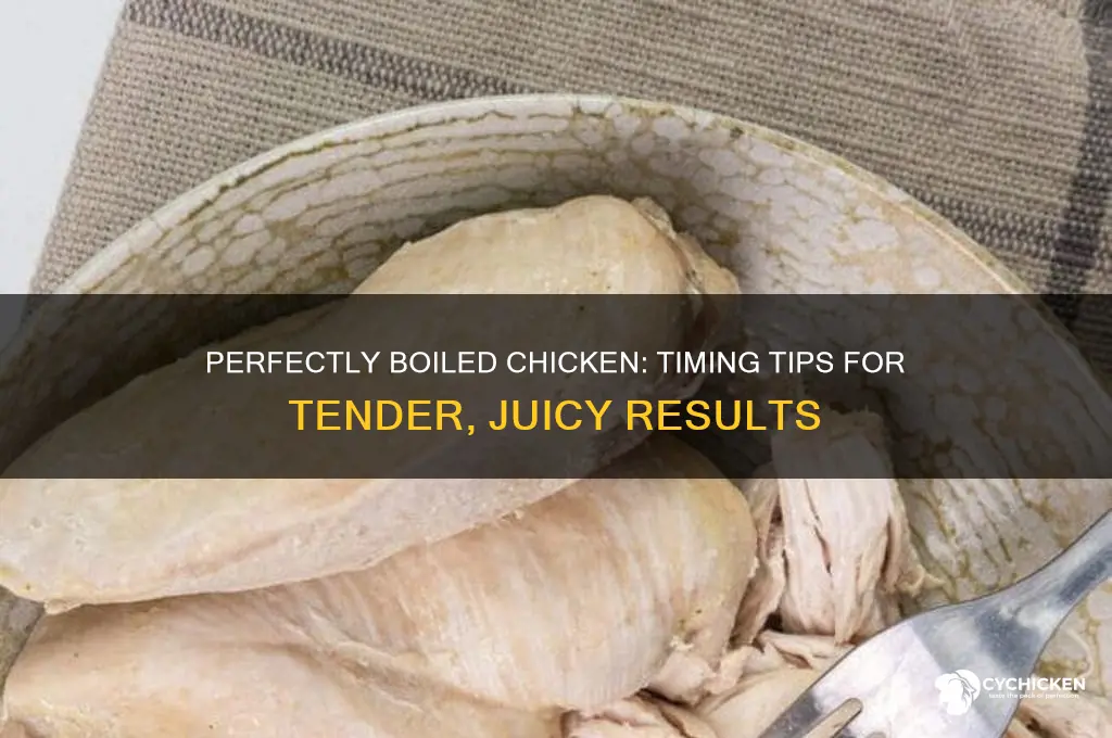 how lomg does it take to boil chicken