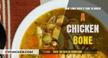 Chicken Bone Digestion: How Long Does It Take?