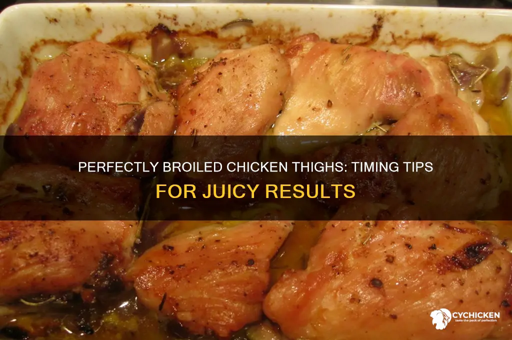 how lomg to broil chicken thighs