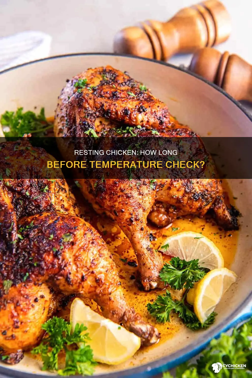how lomg to let chicken rest before taking temperature