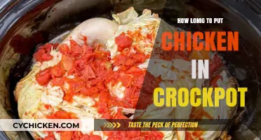 Perfect Slow-Cooked Chicken: Crockpot Timing Tips for Juicy Results