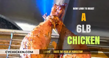 Perfect Roast: Timing Tips for a Juicy 6-Pound Chicken