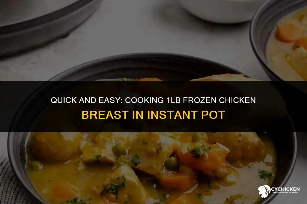 how long 1lb frozen chicken breast in instant pot