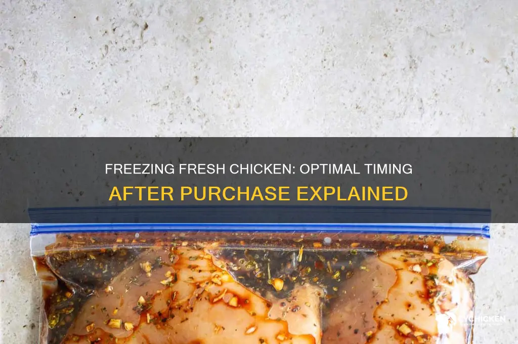 how long after buying chicken can i freeze it
