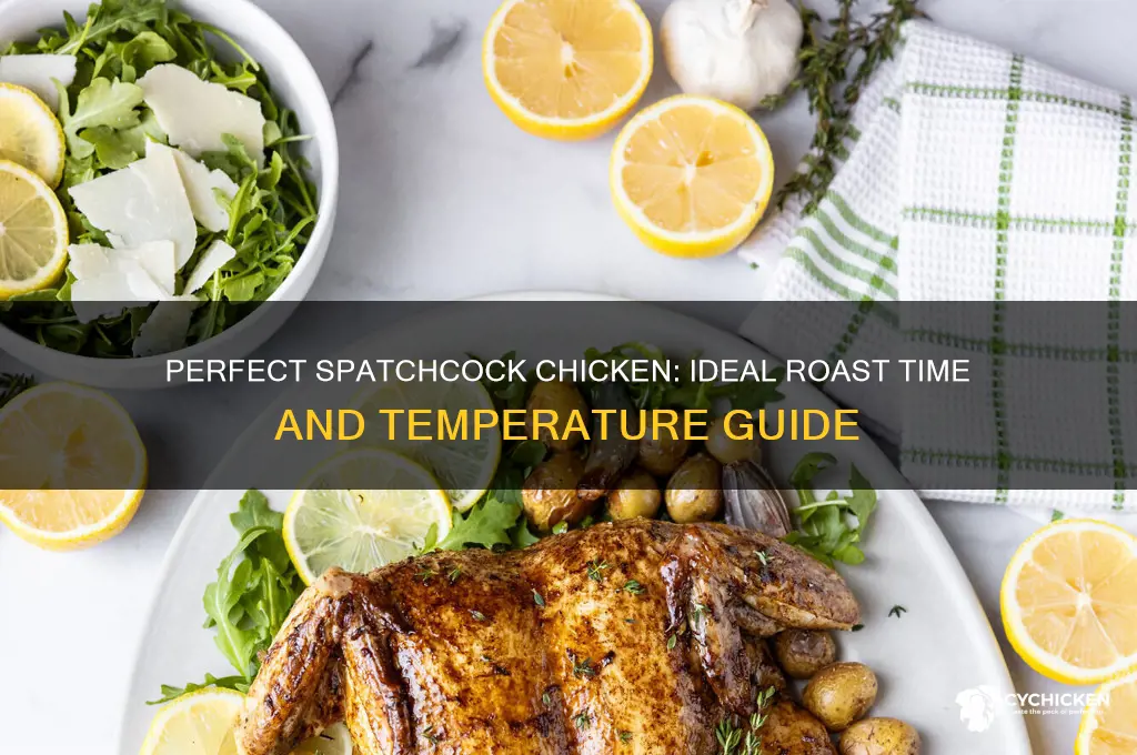 how long and what temp to roast spatchcock chicken