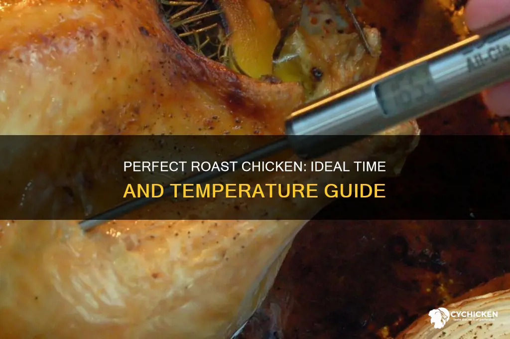 how long and what temperature to roast a whole chicken