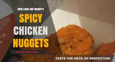Wendy's Spicy Chicken Nuggets: Sizing Up the Fiery Treat
