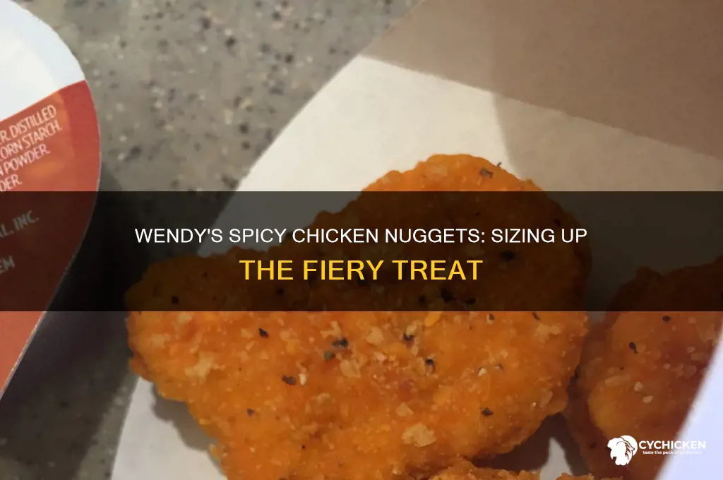 how long are wendy
