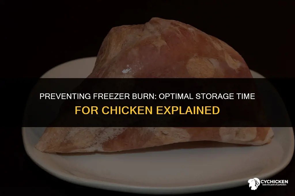 how long before chicken gets freezer burn