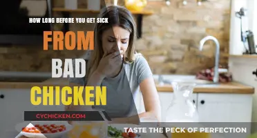 Food Safety Alert: The Timeline of Illness from Spoiled Chicken