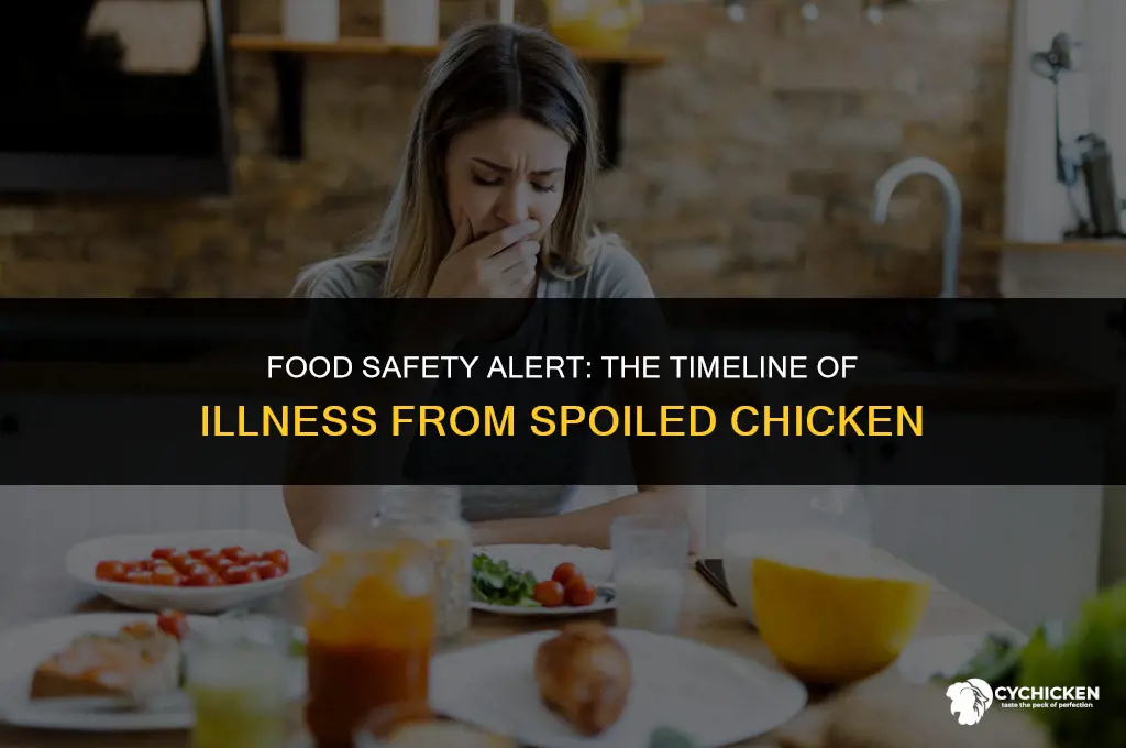 how long before you get sick from bad chicken