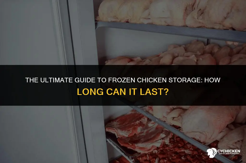 how long cam frozen chicken last