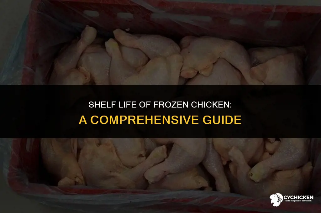 how long can a frozen chicken last in the fridge