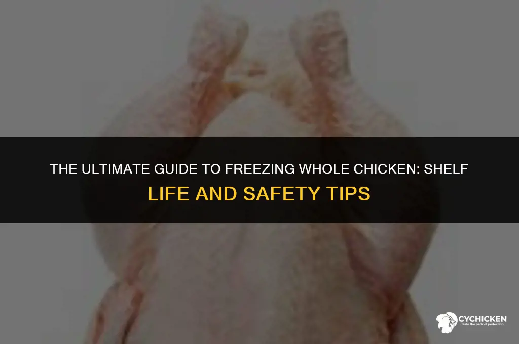 how long can a whole chicken be kept frozen