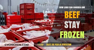Frozen in Time: The Ultimate Guide to Storing Chicken and Beef