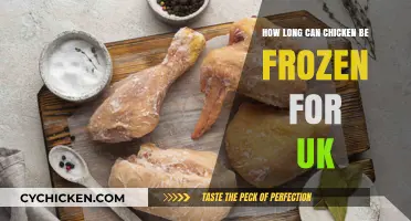 Safe Storage: The Ultimate Guide to Freezing Chicken in the UK