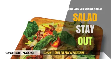 Freshness Matters: The Safe Window for Chicken Caesar Salad