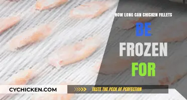 The Ultimate Guide to Freezing Chicken Fillets: Duration and Tips