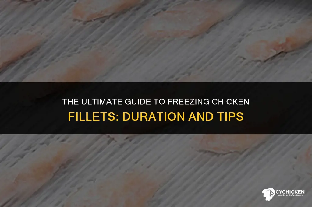 how long can chicken fillets be frozen for